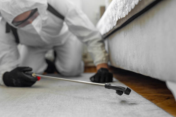 Professional Cockroach Control technician working in Easton, PA